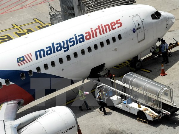Familiares de víctimas del MH370 demandan a la aerolínea y Malasia ảnh 1 Familiares de víctimas del MH370 demandan a la aerolínea y Malasia ảnh 1