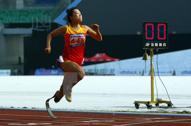 130 atletas vietnamitas participarán en Paralímpicos de ASEAN ảnh 1 130 atletas vietnamitas participarán en Paralímpicos de ASEAN ảnh 1
