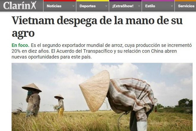 Prensa argentina resalta éxitos del sector agrícola vietnamita ảnh 1