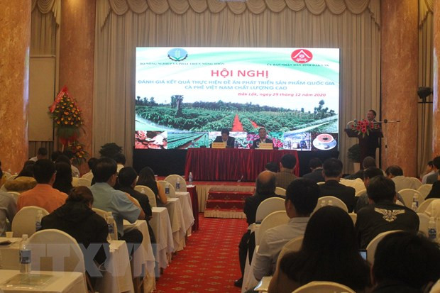 Desarrollan marca nacional de café vietnamita de alta calidad ảnh 1 Desarrollan marca nacional de café vietnamita de alta calidad ảnh 1