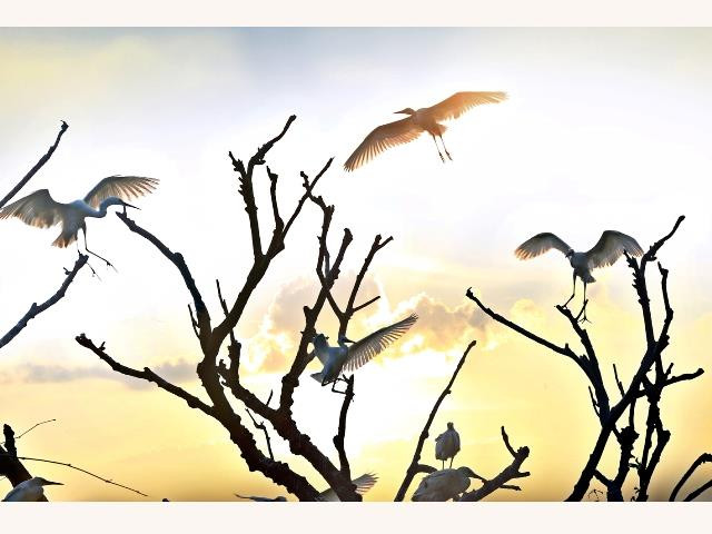 Proyecta provincia vietnamita de Hai Duong aprovechar potencial turístico del distrito Thanh Mien ảnh 1 Proyecta provincia vietnamita de Hai Duong aprovechar potencial turístico del distrito Thanh Mien ảnh 1