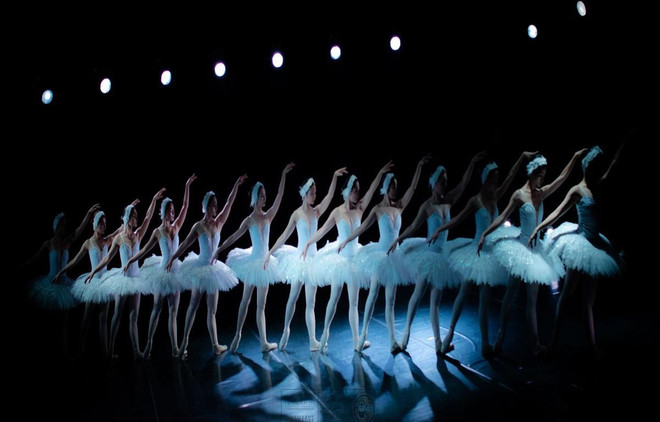 Presentarán artistas vietnamitas obra clásica de ballet “El lago de los cisnes” ảnh 1 Presentarán artistas vietnamitas obra clásica de ballet “El lago de los cisnes” ảnh 1