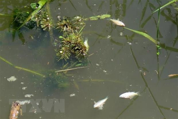 Discuten en Hanoi sobre tratamiento descentralizado de aguas residuales en Asia ảnh 1