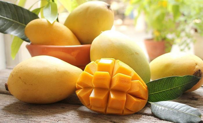 Promueven introducir el mango vietnamita de Hoa Loc en Corea del Sur ảnh 1 Promueven introducir el mango vietnamita de Hoa Loc en Corea del Sur ảnh 1