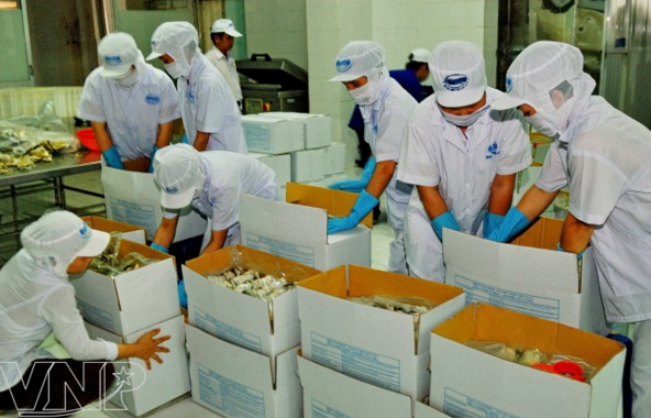 Industria de procesamiento y envasado de Vietnam registra crecimiento estable ảnh 1 Industria de procesamiento y envasado de Vietnam registra crecimiento estable ảnh 1