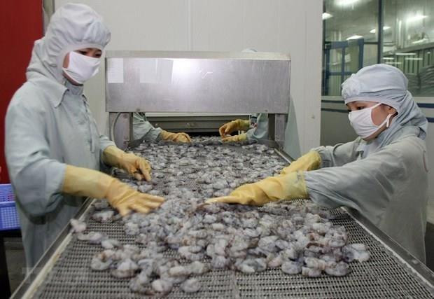 Superan exportaciones de camarones vietnamitas 1,93 mil millones de dólares ảnh 1 Superan exportaciones de camarones vietnamitas 1,93 mil millones de dólares ảnh 1