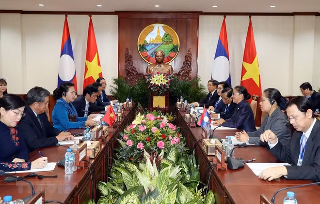 Parlamentos de Vietnam y Laos buscan agilizar cooperación en sus labores ảnh 1