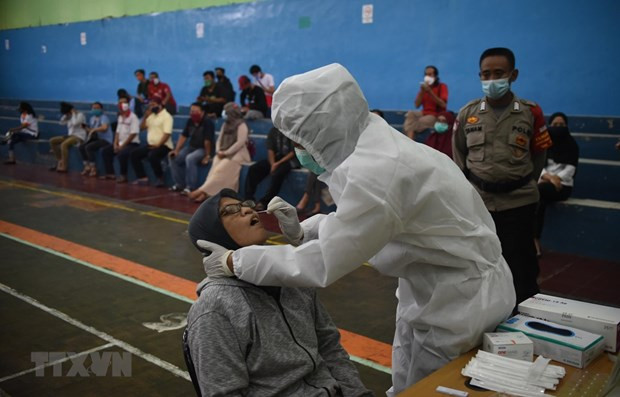 Indonesia se prepara para importar millones de dosis de vacuna contra el COVID-19 ảnh 1 Indonesia se prepara para importar millones de dosis de vacuna contra el COVID-19 ảnh 1
