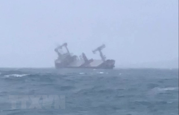 Rescatan a 11 marineros de barco panameño accidentado en aguas vietnamitas ảnh 1 Rescatan a 11 marineros de barco panameño accidentado en aguas vietnamitas ảnh 1