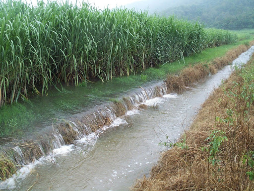 Vietnam y Taiwán (China) discuten métodos de descontaminación de suelos y aguas subterráneas ảnh 1 Vietnam y Taiwán (China) discuten métodos de descontaminación de suelos y aguas subterráneas ảnh 1