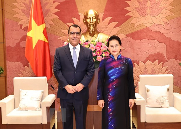 Enaltecen aportes de embajadores extranjeros al progreso de Vietnam ảnh 2 Enaltecen aportes de embajadores extranjeros al progreso de Vietnam ảnh 2