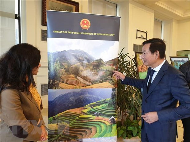 Presenta Vietnam lo mejor de su cultura en Egipto ảnh 1 Presenta Vietnam lo mejor de su cultura en Egipto ảnh 1