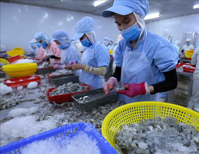 Exportaciones de productos acuáticos vietnamitas superan siete mil millones de dólares hasta noviembre ảnh 1 Exportaciones de productos acuáticos vietnamitas superan siete mil millones de dólares hasta noviembre ảnh 1