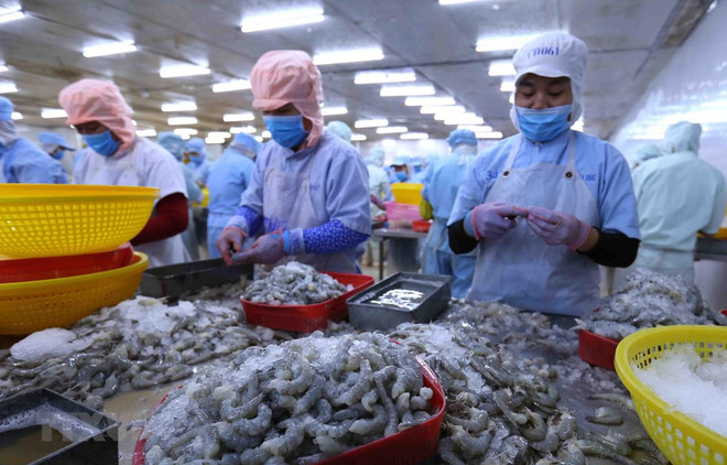 Vietnam es socio económico destacado de Australia, según informe de instituciones ảnh 1  Vietnam es socio económico destacado de Australia, según informe de instituciones ảnh 1
