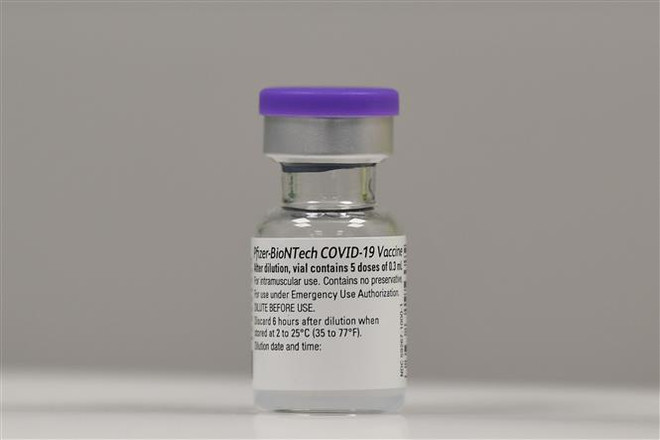 Singapur aprueba vacuna anticovid de Pfizer y BioNTech ảnh 1 Singapur aprueba vacuna anticovid de Pfizer y BioNTech ảnh 1