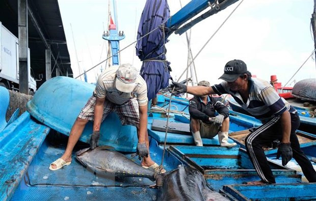 Califican de esencial en Vietnam labor de preservación para desarrollo sostenible de recursos marinos ảnh 1 Califican de esencial en Vietnam labor de preservación para desarrollo sostenible de recursos marinos ảnh 1