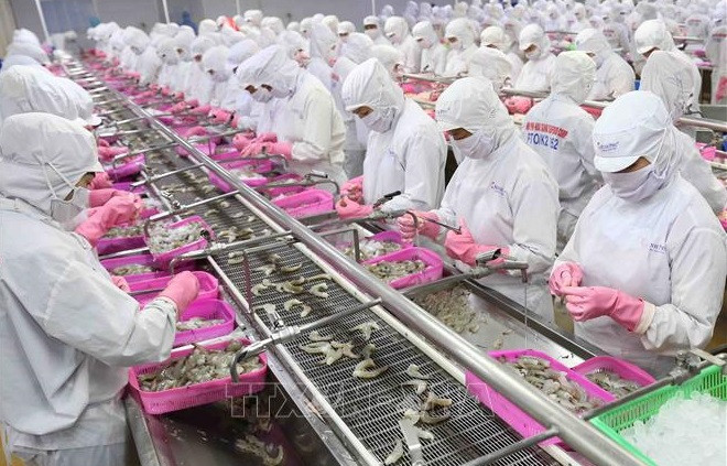 Vietnam aspira a convertirse en centro mundial de procesamiento de productos acuícolas ảnh 1