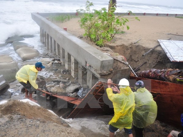 Vietnam: Miles de barcos encuentran cobijo ante tifón Mujigae ảnh 1
