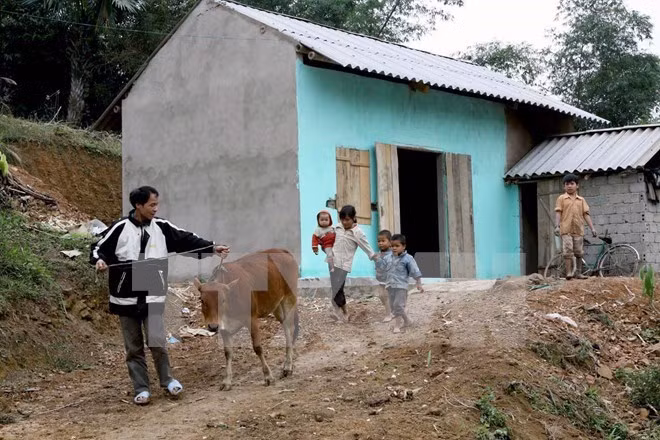 Capital social salva 3,6 millones de hogares de pobreza ảnh 1 Capital social salva 3,6 millones de hogares de pobreza ảnh 1