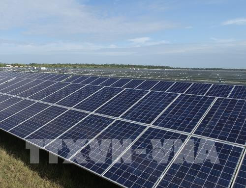 Evalúan el futuro de la energía renovable como alternativa para el sector energético de Vietnam ảnh 1 Evalúan el futuro de la energía renovable como alternativa para el sector energético de Vietnam ảnh 1