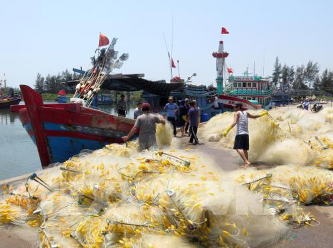 Aldea de procesamiento de mariscos de Sa Huynh en Vietnam ảnh 1 Aldea de procesamiento de mariscos de Sa Huynh en Vietnam ảnh 1