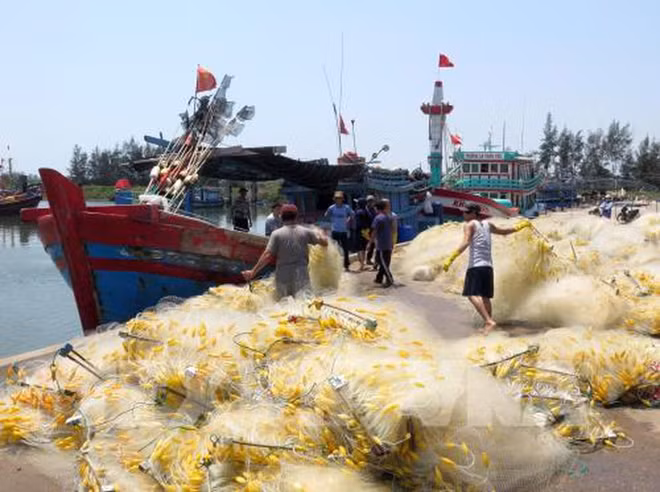 Aldea de procesamiento de mariscos de Sa Huynh en Vietnam ảnh 1