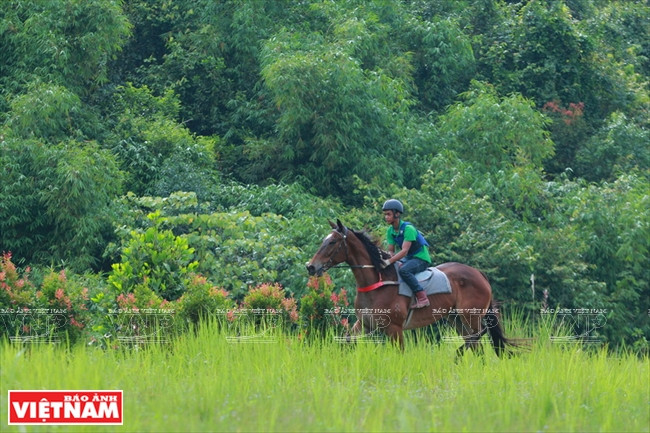 Hipódromo de Thien Ma Madagui en Lam Dong ảnh 1