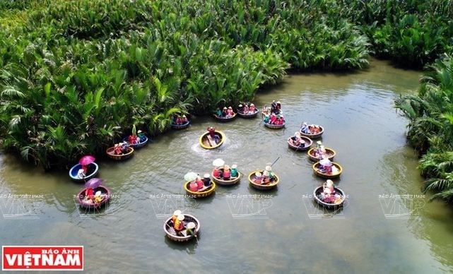 Cam Thanh, tierra de las palmas de agua ảnh 1 Cam Thanh, tierra de las palmas de agua ảnh 1