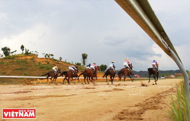Hipódromo de Thien Ma Madagui en Lam Dong ảnh 2