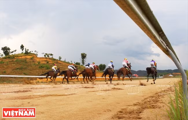 Hipódromo de Thien Ma Madagui en Lam Dong ảnh 2 Hipódromo de Thien Ma Madagui en Lam Dong ảnh 2