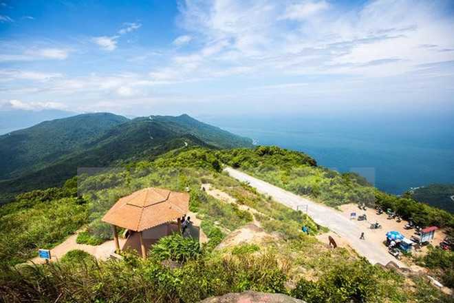 Son Tra, un regalo de la naturaleza ảnh 1 Son Tra, un regalo de la naturaleza ảnh 1