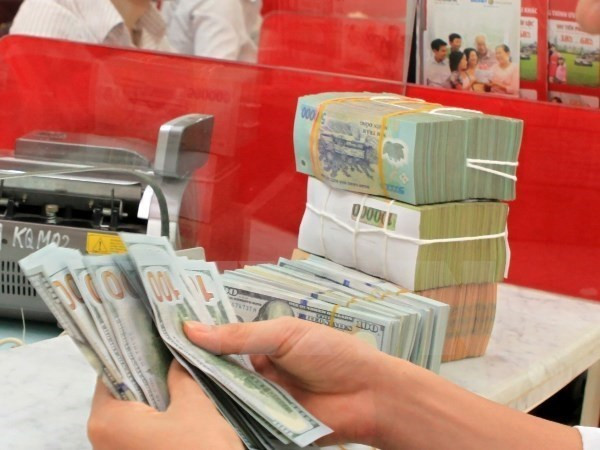 Aseguran que Vietnam podrá mantener crecimiento crediticio en 2019 ảnh 1