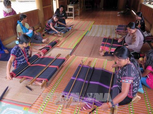 Fundación japonesa ayuda etnia vietnamita en preservación de oficio de tejer brocados ảnh 1