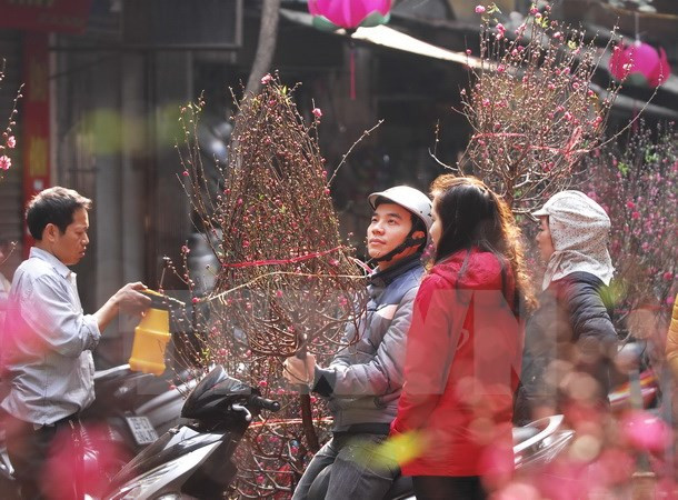 Mercado de flores en la calle Hang Luoc ảnh 1