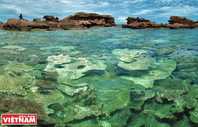 La belleza prístina de An Thoi ảnh 1