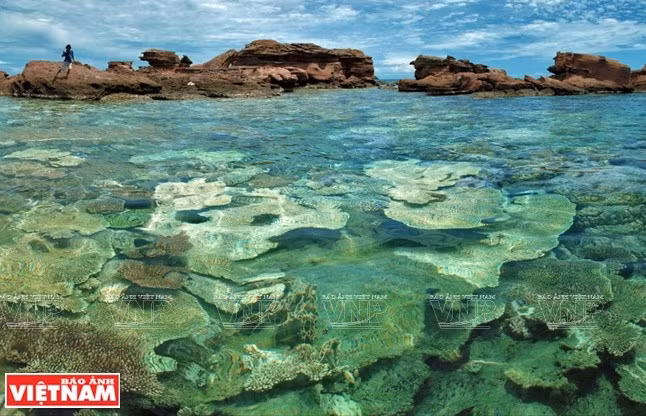 La belleza prístina de An Thoi ảnh 1