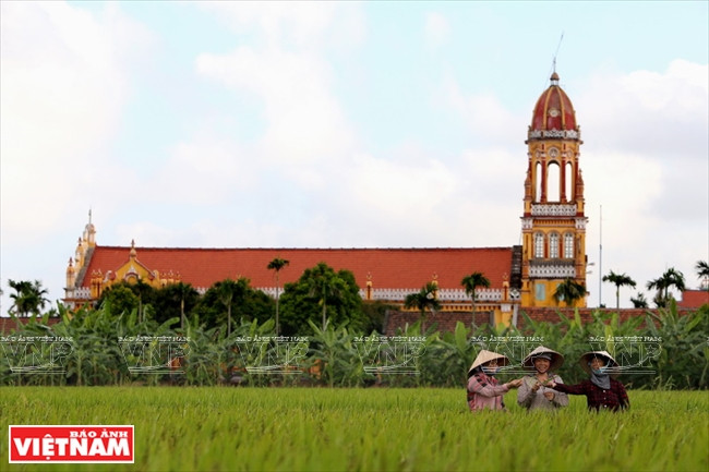 Hai Hau, nuevo modelo de zona rural ảnh 2 Hai Hau, nuevo modelo de zona rural ảnh 2