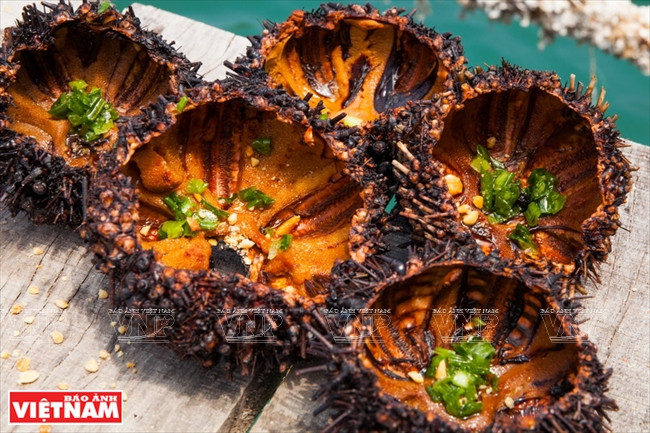 Erizos de mar asados con aceite y cebollines ảnh 1 Erizos de mar asados con aceite y cebollines ảnh 1