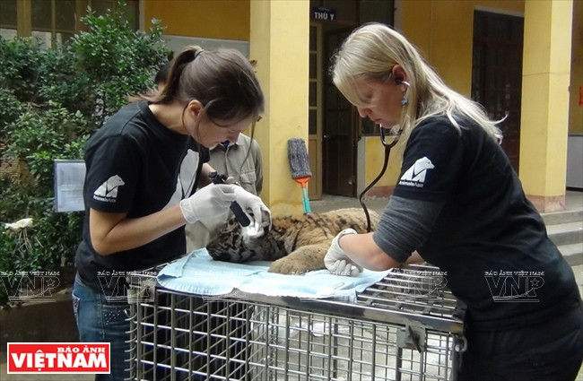 Protección de animales silvestres en Vietnam ảnh 1 Protección de animales silvestres en Vietnam ảnh 1