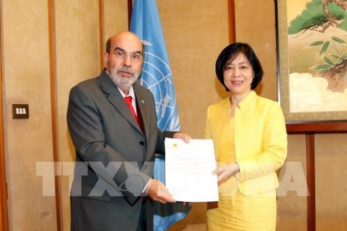 Director general de FAO elogia los logros de desarrollo de Vietnam ảnh 1 Director general de FAO elogia los logros de desarrollo de Vietnam ảnh 1