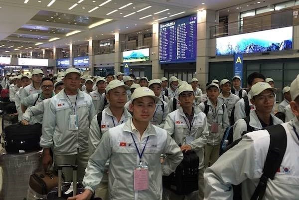 Vietnam planea enviar a 120 mil trabajadores al extranjero en 2019 ảnh 1 Vietnam planea enviar a 120 mil trabajadores al extranjero en 2019 ảnh 1