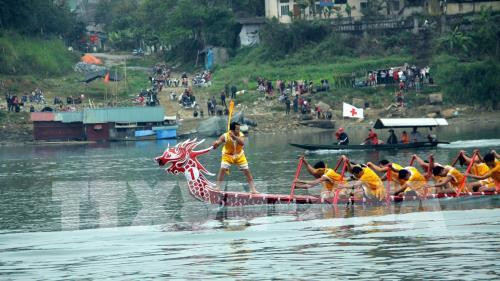 Efectúan en Vietnam regatas tradicionales de barcos en celebración del Tet ảnh 1