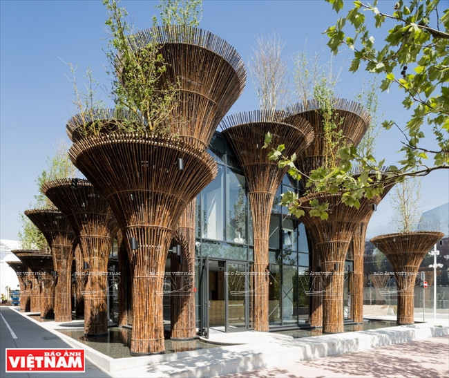 Takashi Niwa, arquitecto de los edificios verdes ảnh 4 Takashi Niwa, arquitecto de los edificios verdes ảnh 4