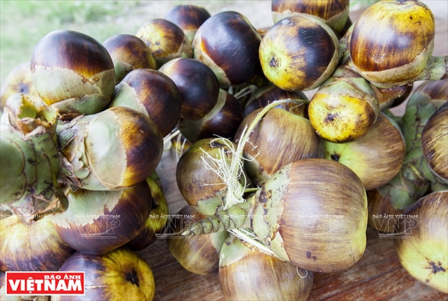 El azúcar de palma, una especialidad de An Giang ảnh 2 El azúcar de palma, una especialidad de An Giang ảnh 2