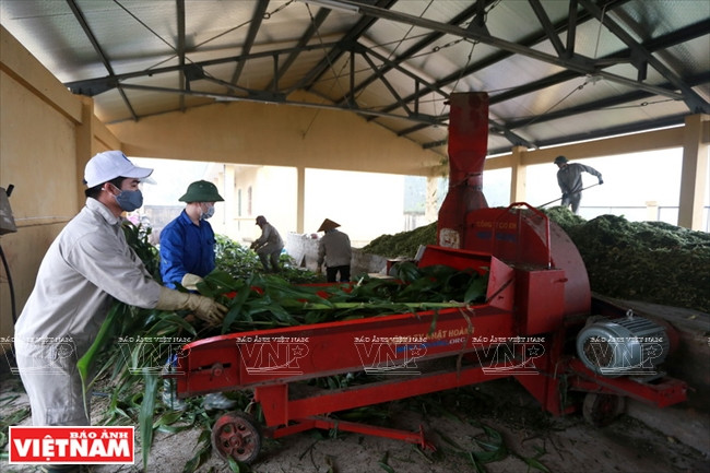 La mayor granja equina del norte ảnh 1