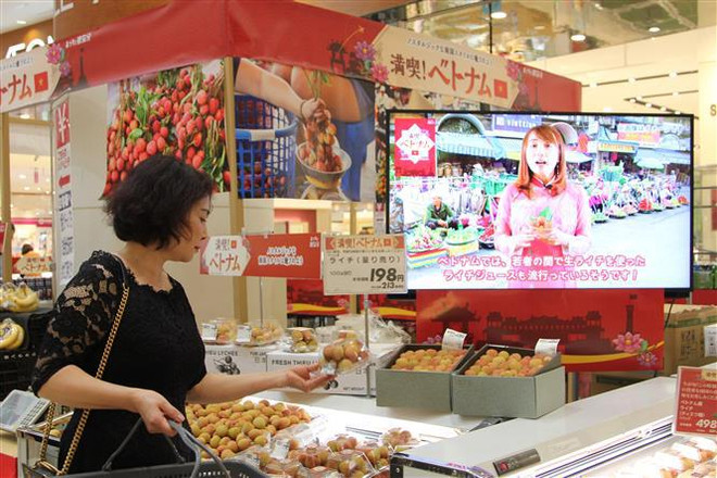 Aumentan presencia de productos vietnamitas en Japón ảnh 1