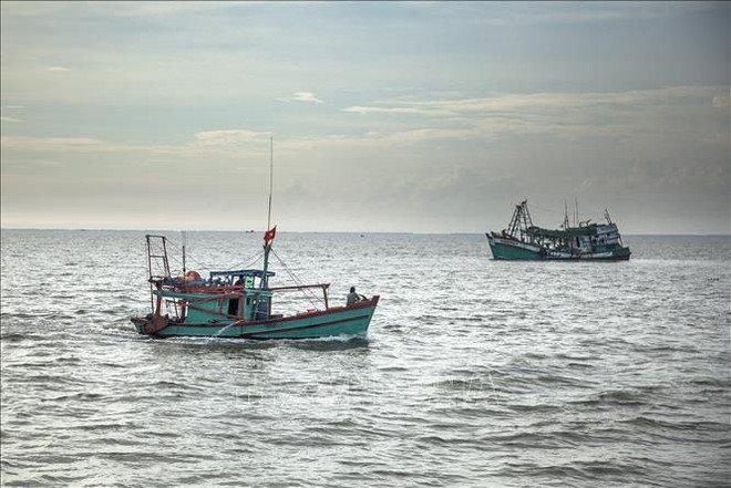 Vietnam dispuesto a cooperar y compartir experiencias en la lucha contra la pesca ilegal ảnh 1 Vietnam dispuesto a cooperar y compartir experiencias en la lucha contra la pesca ilegal ảnh 1