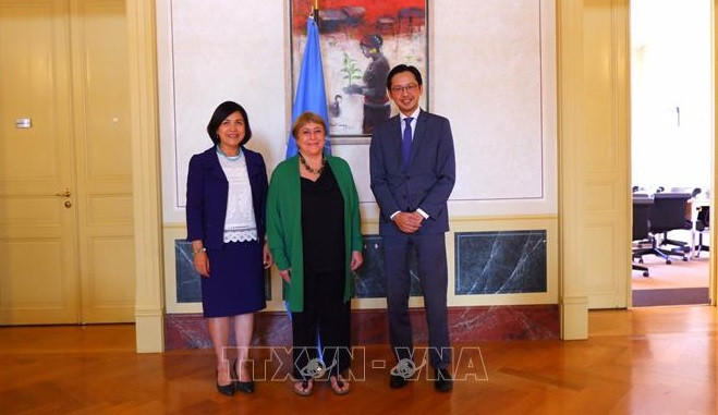 Vietnam contribuye a actividades de diálogo y cooperación de CDH ảnh 1