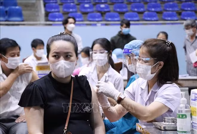 Vietnam notifica 685 nuevos casos de COVID-19 ảnh 1 Vietnam notifica 685 nuevos casos de COVID-19 ảnh 1