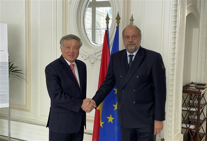 Buscan impulsar cooperación entre Vietnam con Alemania y Francia en sector judicial ảnh 1 Buscan impulsar cooperación entre Vietnam con Alemania y Francia en sector judicial ảnh 1